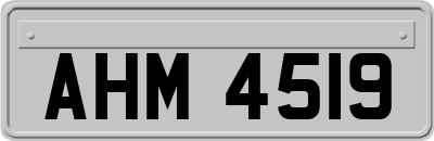 AHM4519