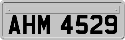 AHM4529