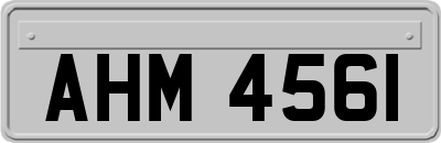 AHM4561