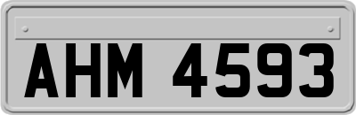 AHM4593