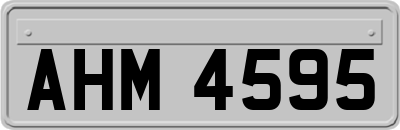 AHM4595
