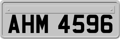 AHM4596