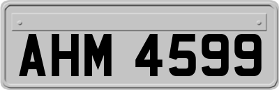 AHM4599