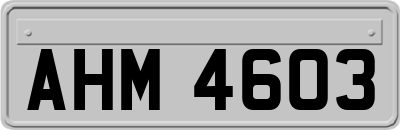 AHM4603