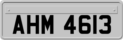 AHM4613
