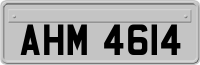 AHM4614