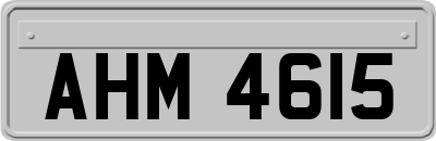 AHM4615