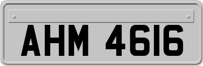 AHM4616