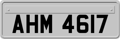 AHM4617