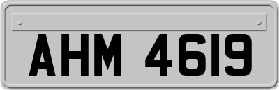 AHM4619