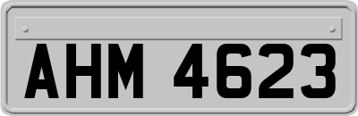 AHM4623