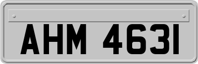 AHM4631