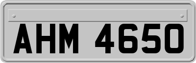 AHM4650
