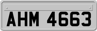 AHM4663