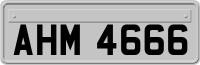 AHM4666