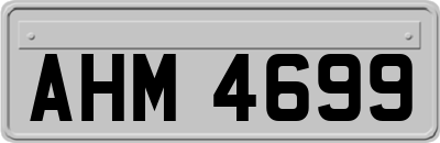 AHM4699