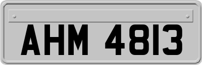 AHM4813