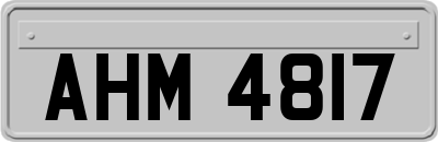 AHM4817