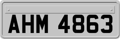 AHM4863