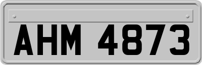 AHM4873