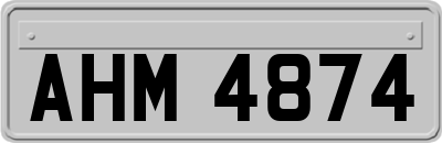 AHM4874