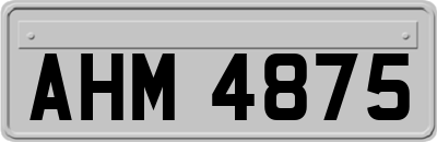 AHM4875