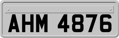 AHM4876