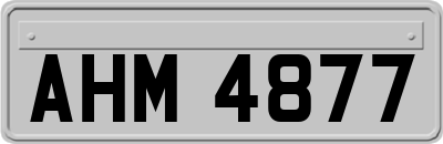 AHM4877