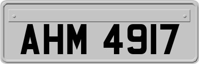 AHM4917