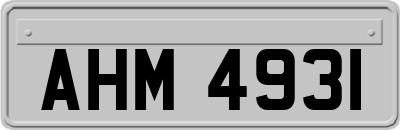 AHM4931