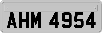 AHM4954