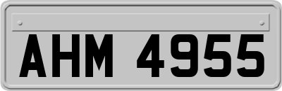 AHM4955