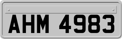 AHM4983