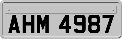 AHM4987