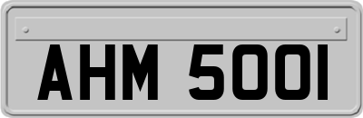 AHM5001