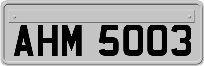 AHM5003