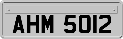 AHM5012