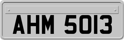 AHM5013