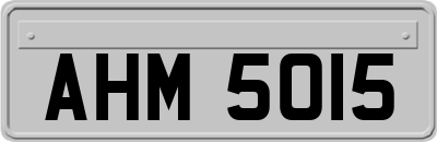 AHM5015