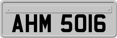 AHM5016