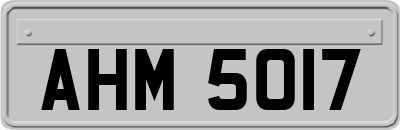 AHM5017