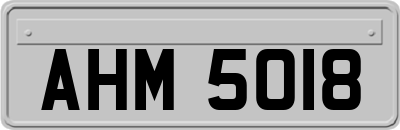 AHM5018
