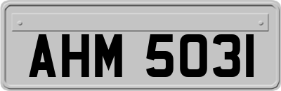 AHM5031