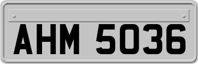 AHM5036