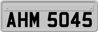 AHM5045