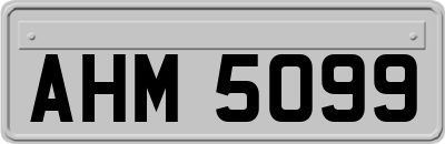 AHM5099