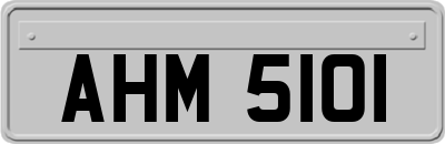 AHM5101