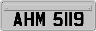 AHM5119