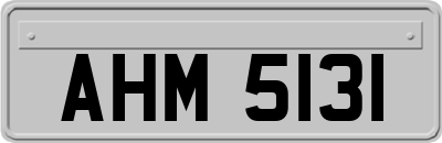 AHM5131