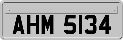 AHM5134
